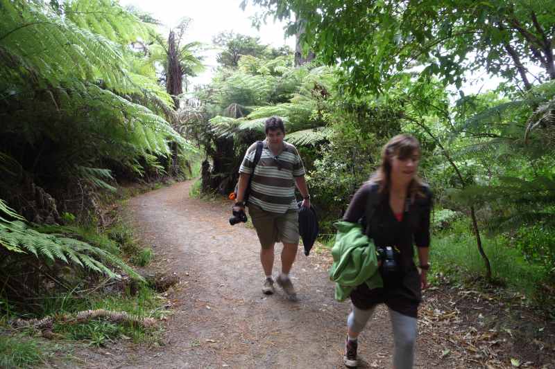 Nieuw-Zeeland 2011 - 0437